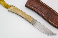 Damscus Fixed Blade - Mammoth Ivory