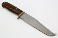 Desert Storm Fighter