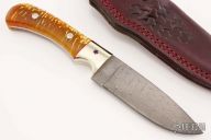 Drop Point Fixed Blade