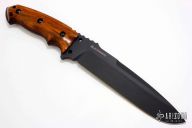 EX-F01 - Elishewitz Design