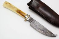 Fixed Blade - Damascus/Walrus Ivory