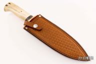 Fossil Walrus Ivory Dagger