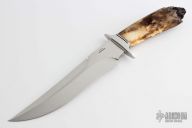 Fossilized Mammoth Fighter