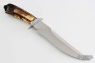 Fossilized Mammoth Fighter