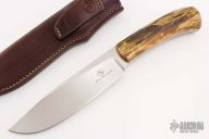 Giant - Elephant - Sheep Horn