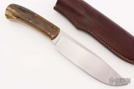 Giant - Elephant - Sheep Horn