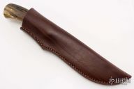 Giant - Elephant - Sheep Horn