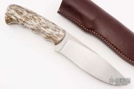 Giant - Hippo - Giraffe Bone