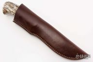 Giant - Hippo - Giraffe Bone