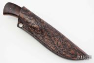 Grazer - Nyala - Desert Ironwood