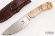 Grazer - Warthog - Sheep Horn