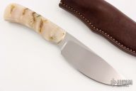 Grazer - Warthog - Sheep Horn