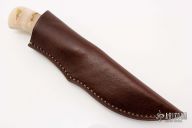 Grazer - Warthog - Sheep Horn