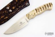 Grazer - Zebra - Sheep Horn