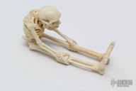 Hand Carved Skeleton - Bone