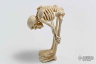 Hand Carved Skeleton - Bone