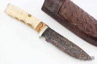 Hunter - Walrus Jaw Bone