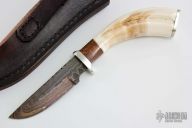 Hunter - Warthog Tusk