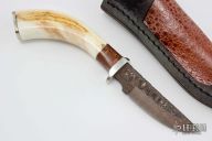 Hunter - Warthog Tusk