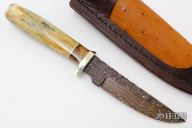 Hunter - Zebra Leg Bone