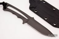 Professional Soldier