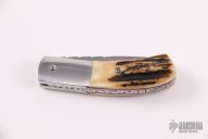 Scale Release Auto - Stag