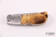 Hidden Button Auto - Mammoth Ivory 