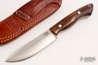 Kalahari Hunter - Desert Ironwood