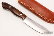 Kalahari Hunter - Desert Ironwood