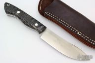 Kalahari Hunter - Impala