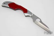 Kiwi w/ Red Coral Inlays