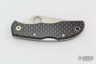 Ladybug - Carbon Fiber