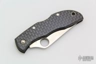 Ladybug - Carbon Fiber