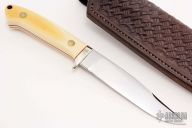 Large Bird and Trout