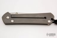 Large P Sebenza - 1993