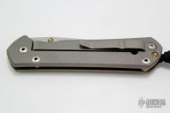 Large Sebenza 21 - Unique Graphic "Morning Sun"