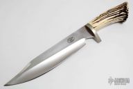 Large Stag Bowie #479