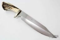 Large Stag Bowie #479