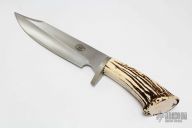 Large Stag Bowie #479