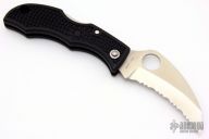 LBKS3HB Ladybug Hawkbill