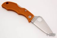 LBORP3E Ladybug Burnt Orange HAP40