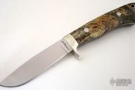 Medium Drop Point Hunter