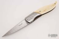 Linerlock Front Flipper