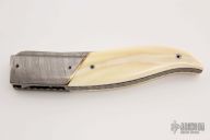 Linerlock Front Flipper