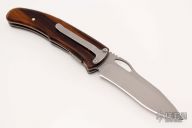 Lobo D/A - Desert Ironwood