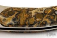 LM21930 Paul Presto Leopard Limited Edition