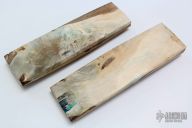 Mammoth Ivory Scales