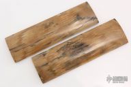 Mammoth Ivory Scales