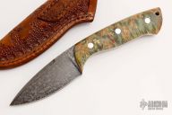 Maple Burl Hunter