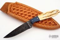 Bird & Trout Model 1